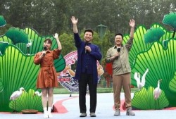 襄阳新闻大爆料视频最新,最新视频揭秘惊人内幕！