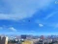 都市爆料平顶山案件最新,都市爆料揭示惊人内幕