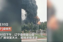 辉南县媒体爆料事件最新,揭秘当地重大事件背后真相